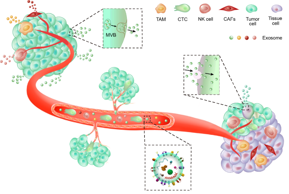 1699854122163062.png 111.png